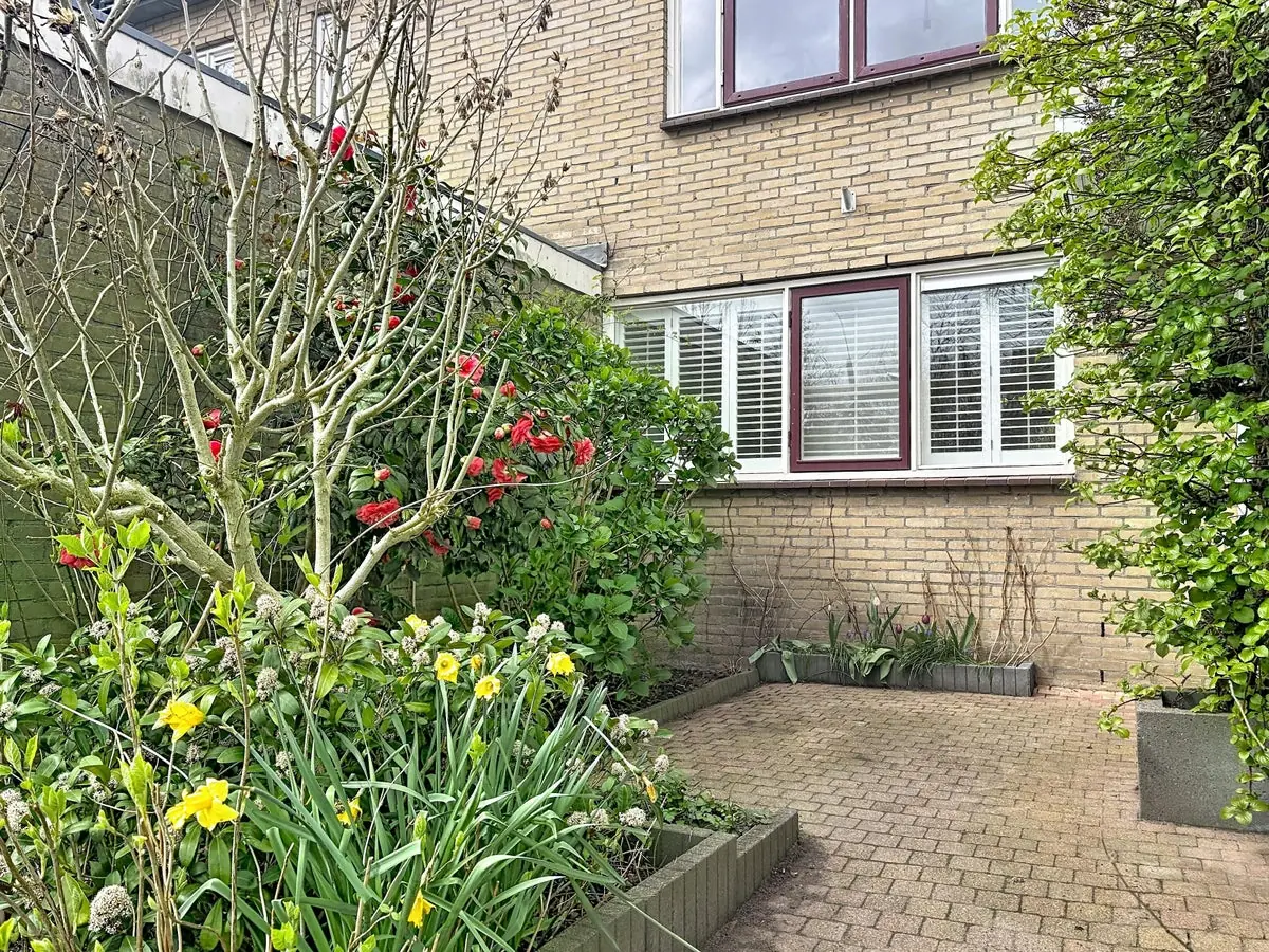 Image 23 of 23