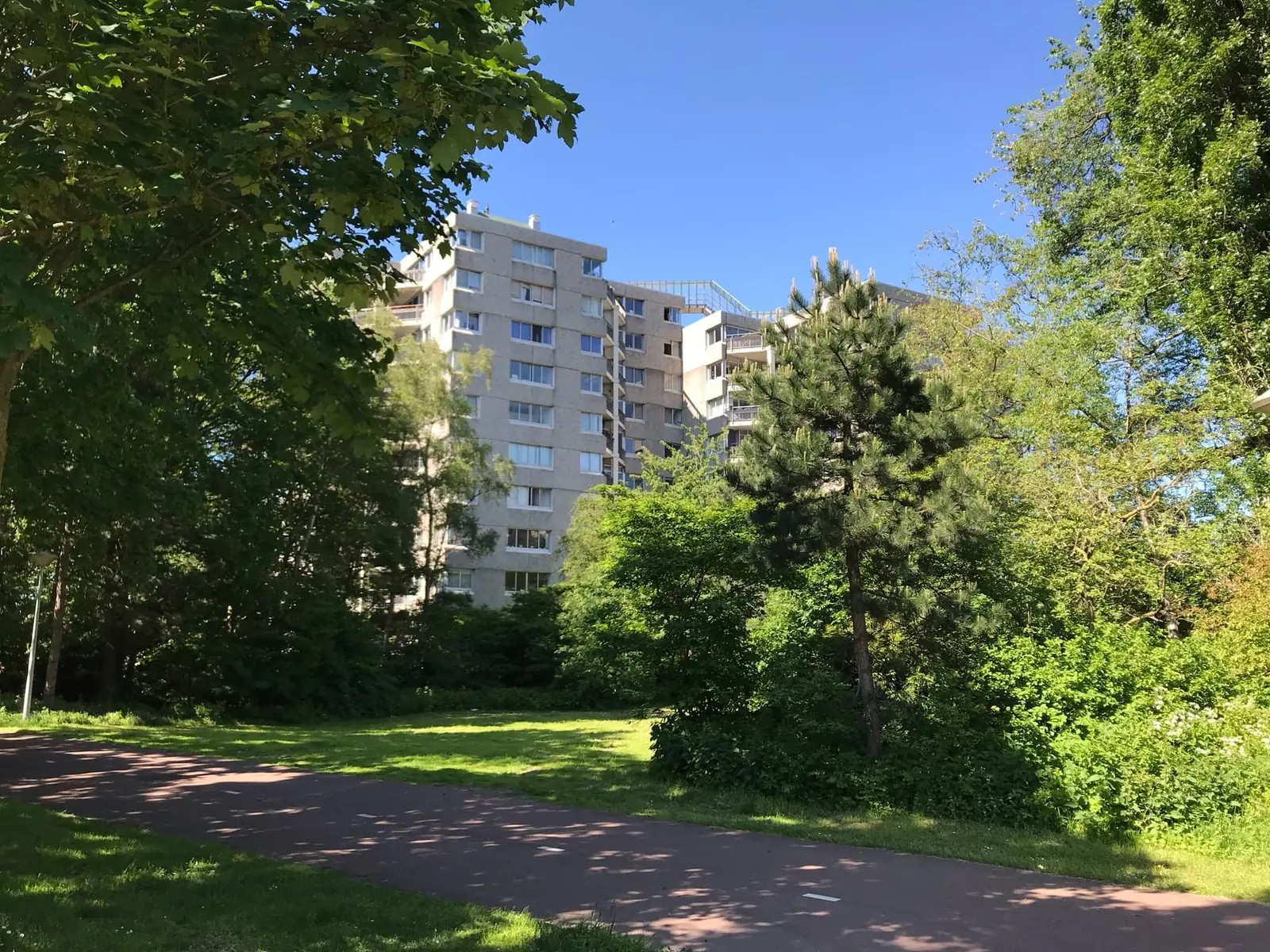Image 2 of 10