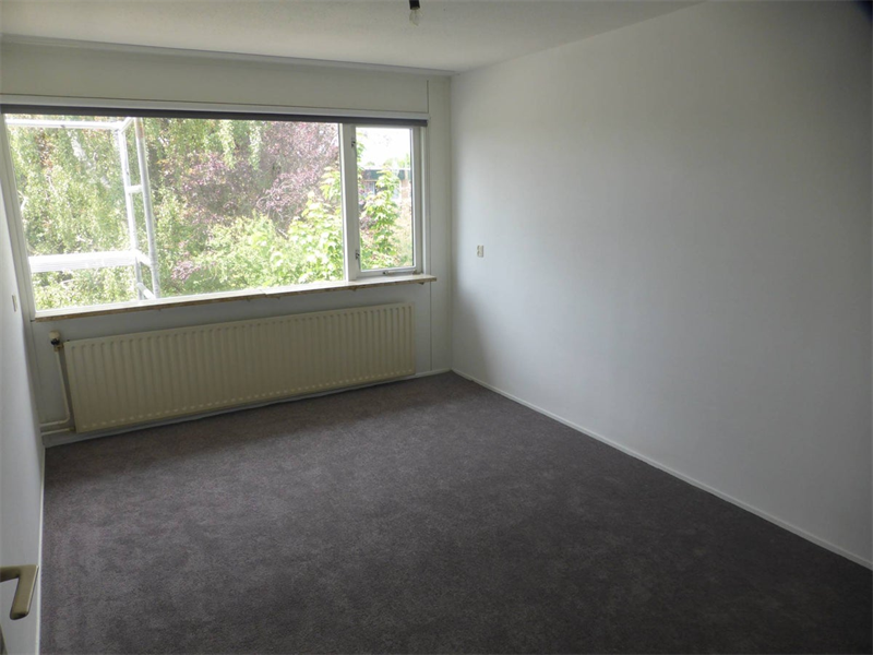 Bild 3 von 10