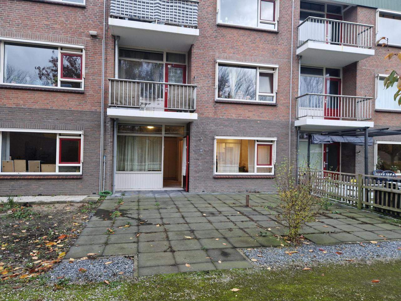 Bild 8 von 8