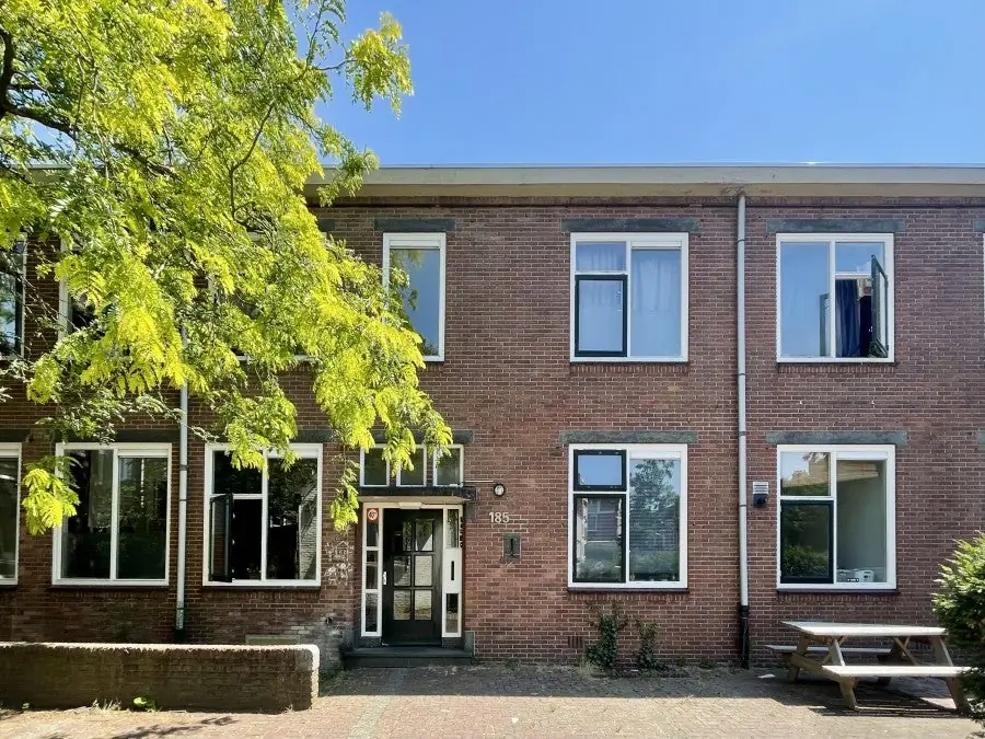 Afbeelding 1 van 1