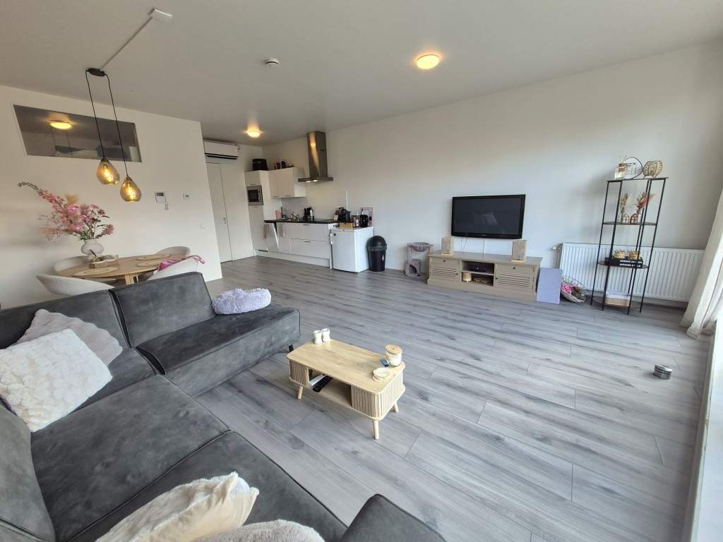 Bild 7 von 22