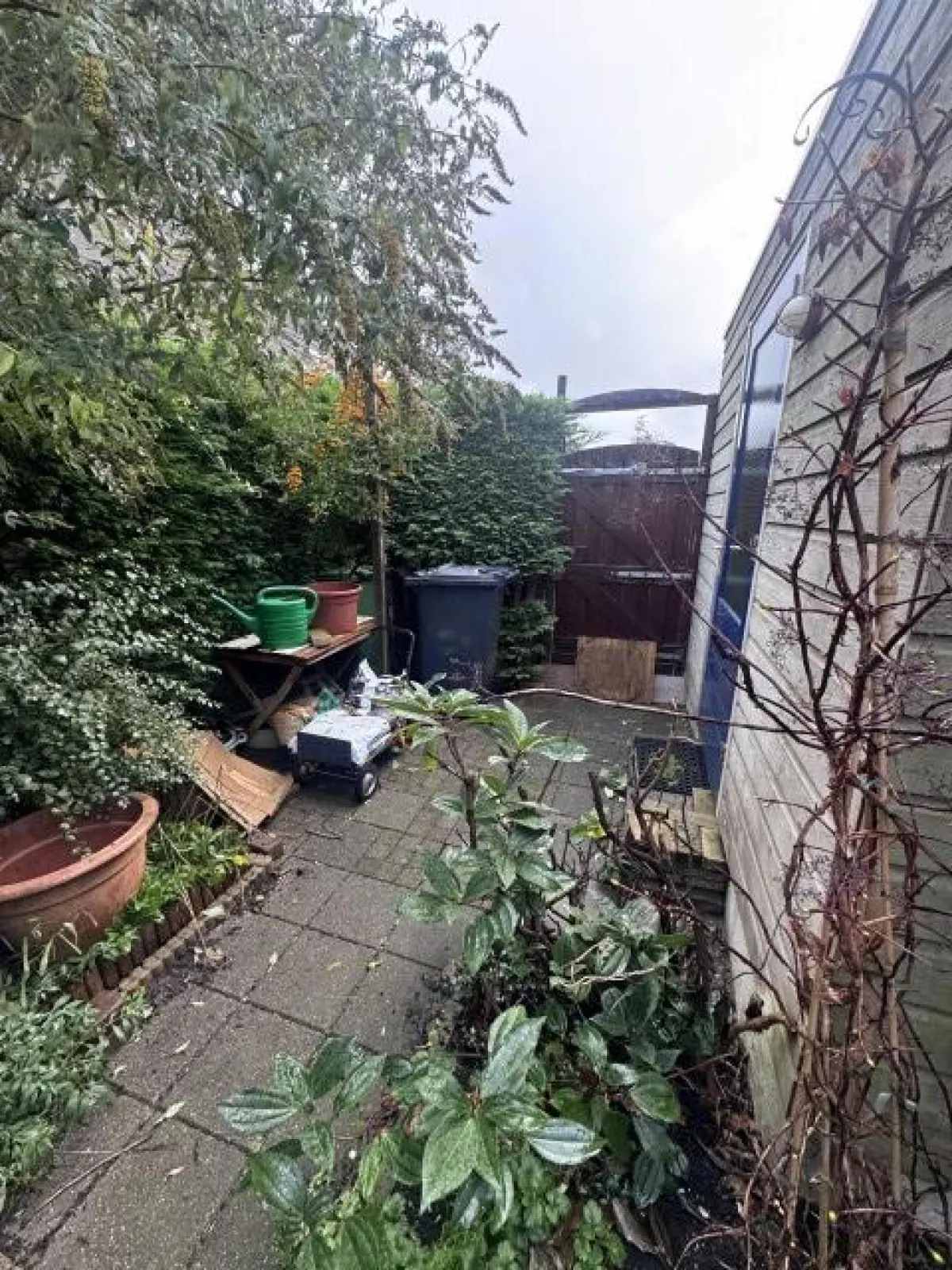Image 6 of 9