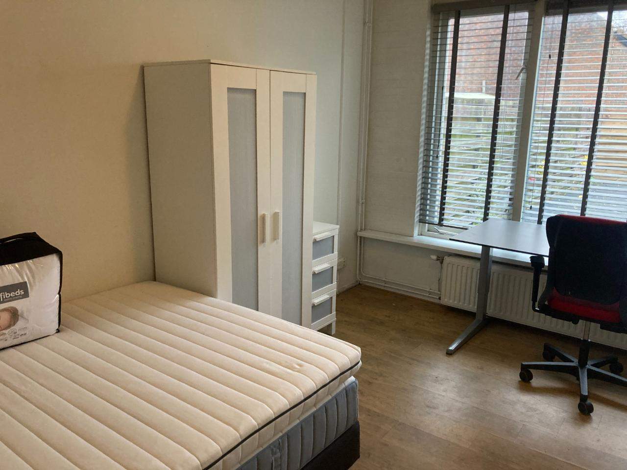 Bild 3 von 8