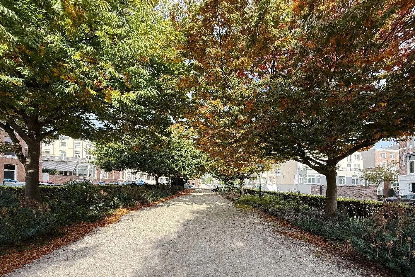 Image 16 of 35