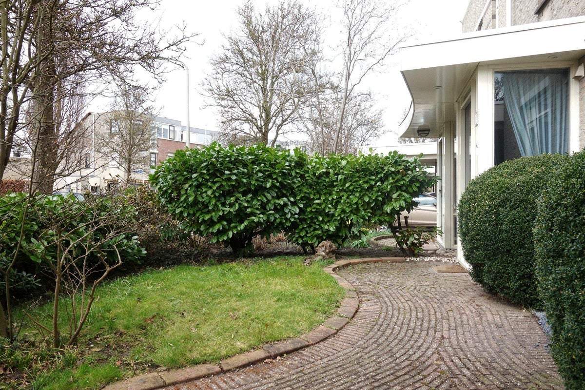 Afbeelding 2 van 20