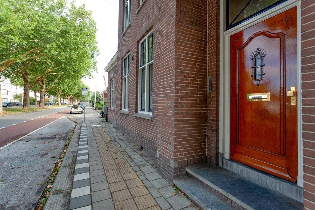 Afbeelding 3 van 20