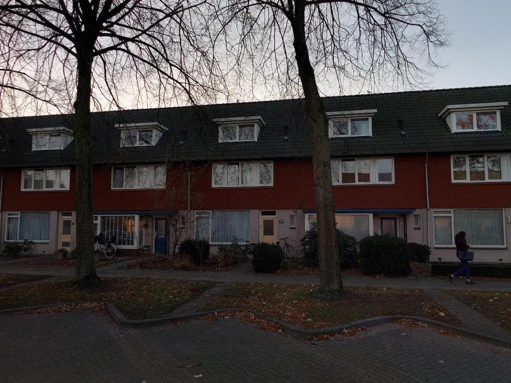 Afbeelding 1 van 1
