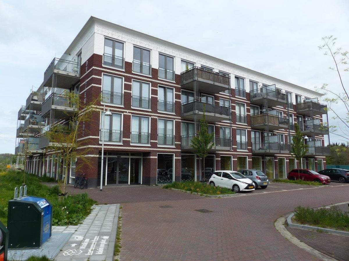 Afbeelding 1 van 22