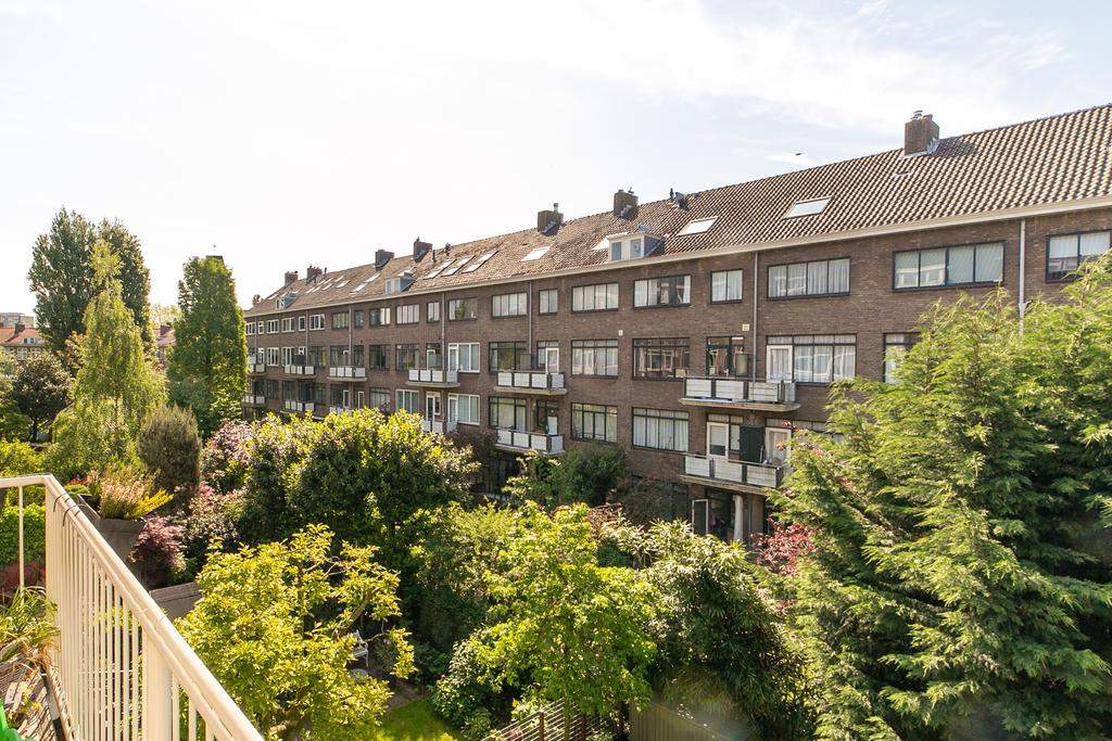 Afbeelding 2 van 42