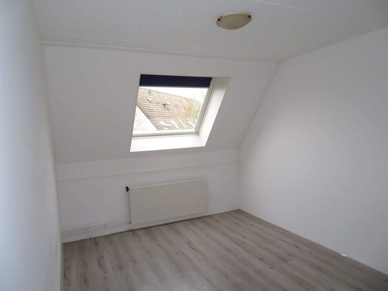 Bild 3 von 16