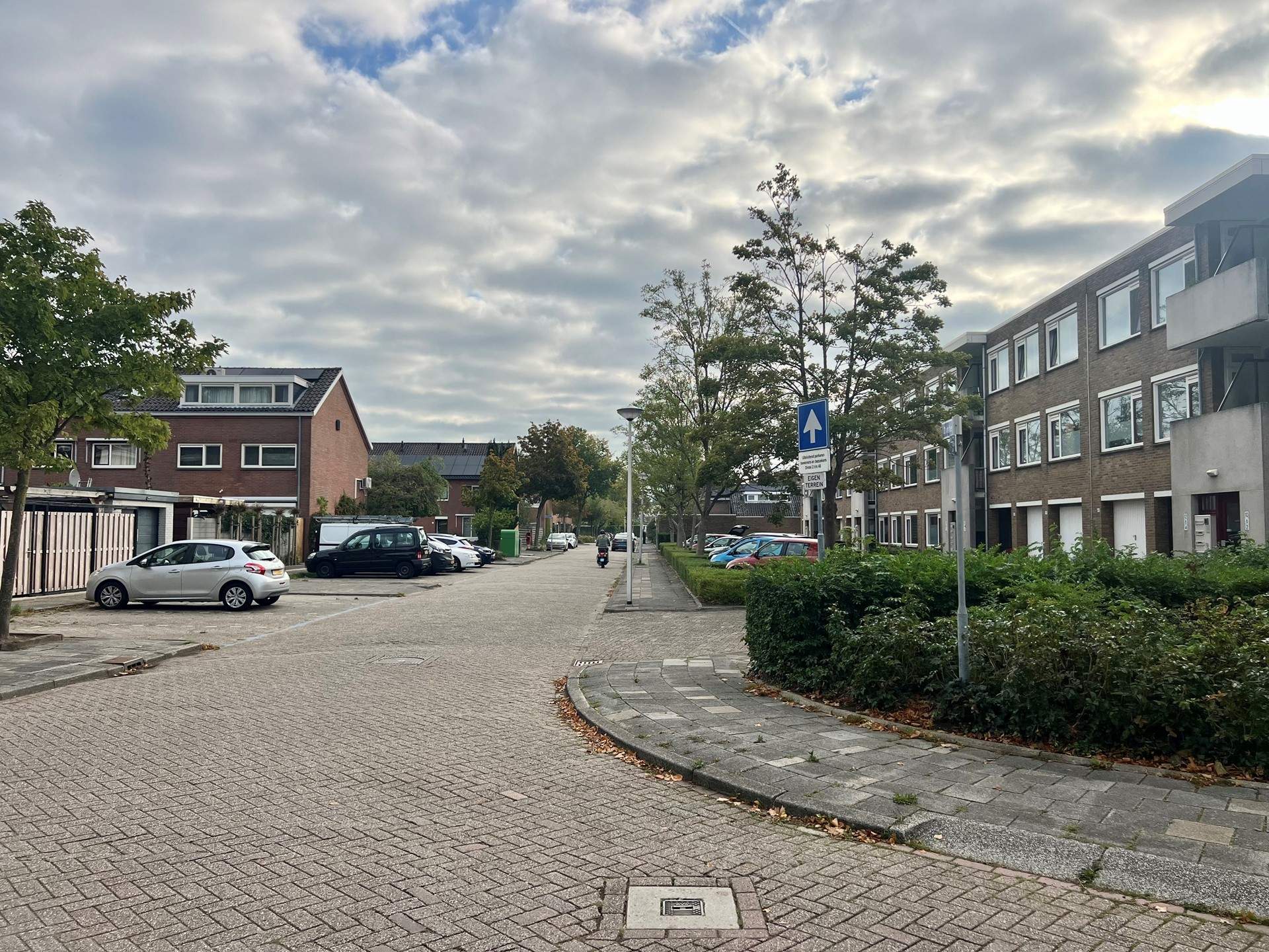 Afbeelding 1 van 17