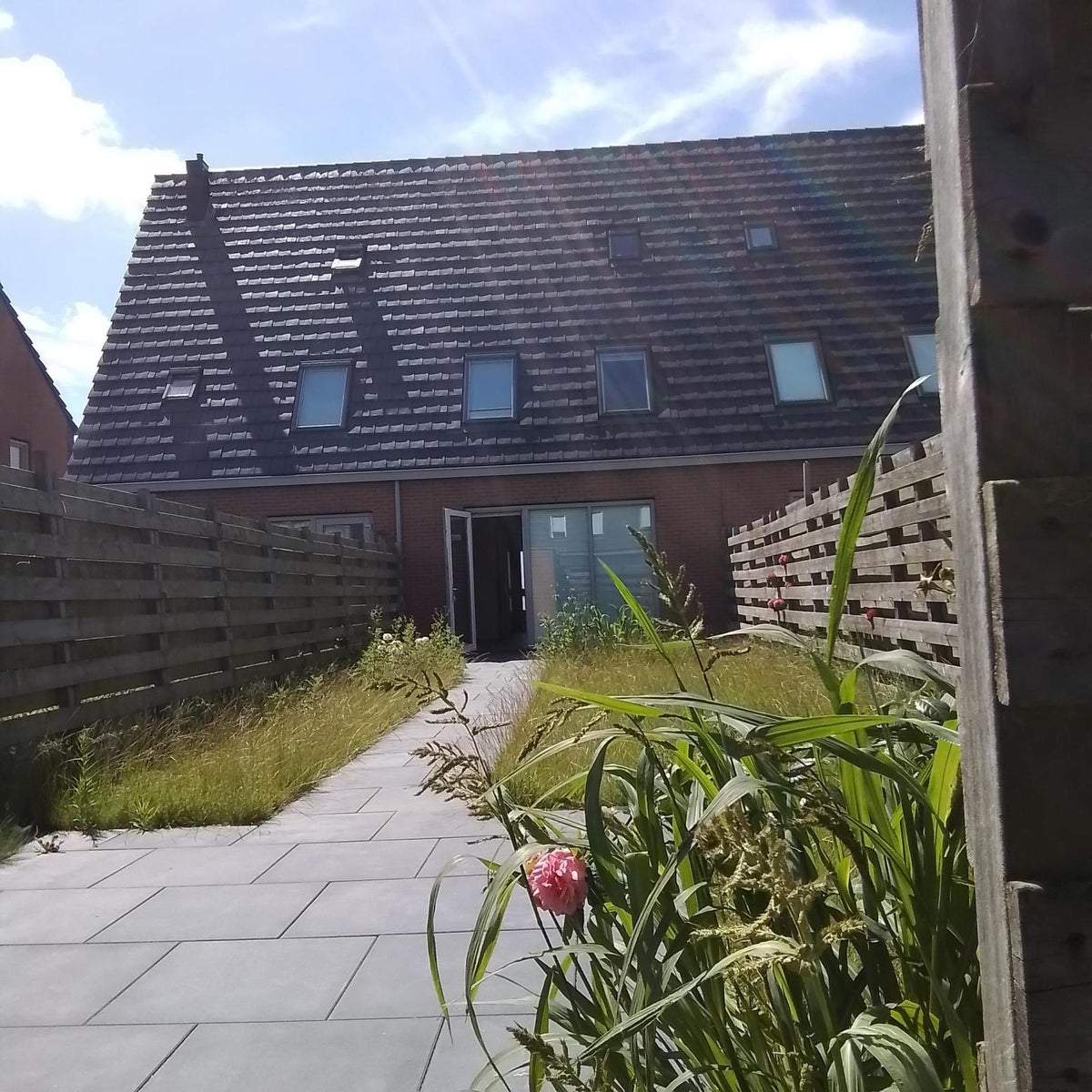 Afbeelding 3 van 23