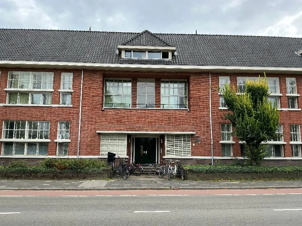 Afbeelding 1 van 1