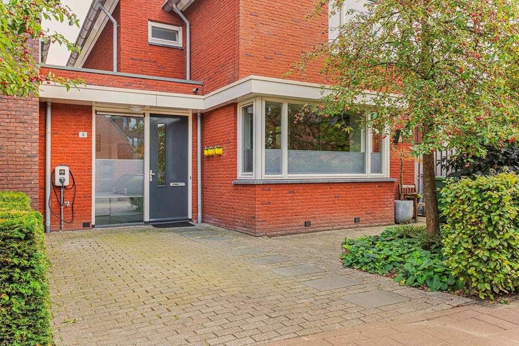 Afbeelding 3 van 19