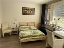 Afbeelding 4 van 5