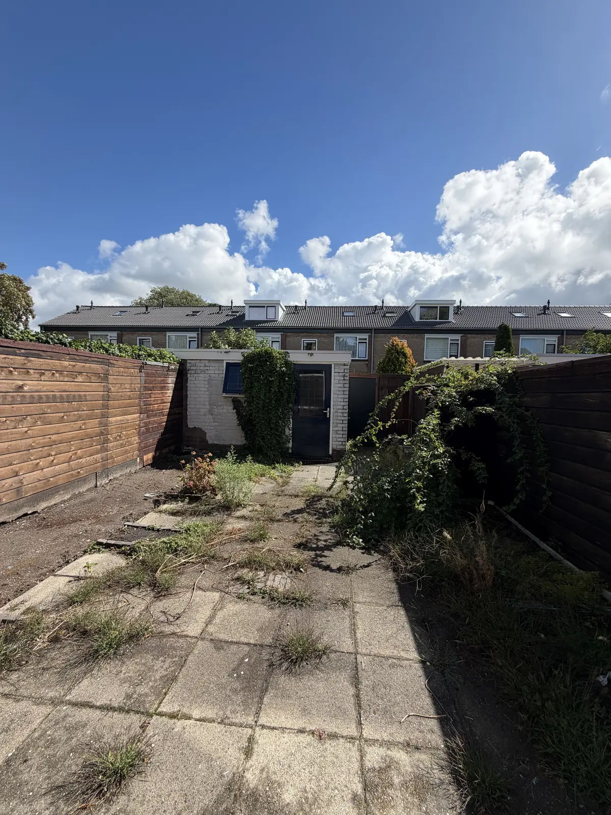Image 32 of 35