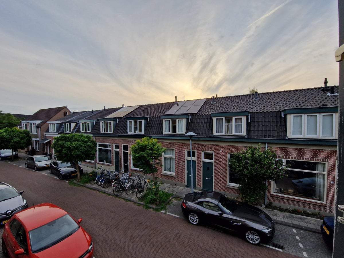 Afbeelding 3 van 21