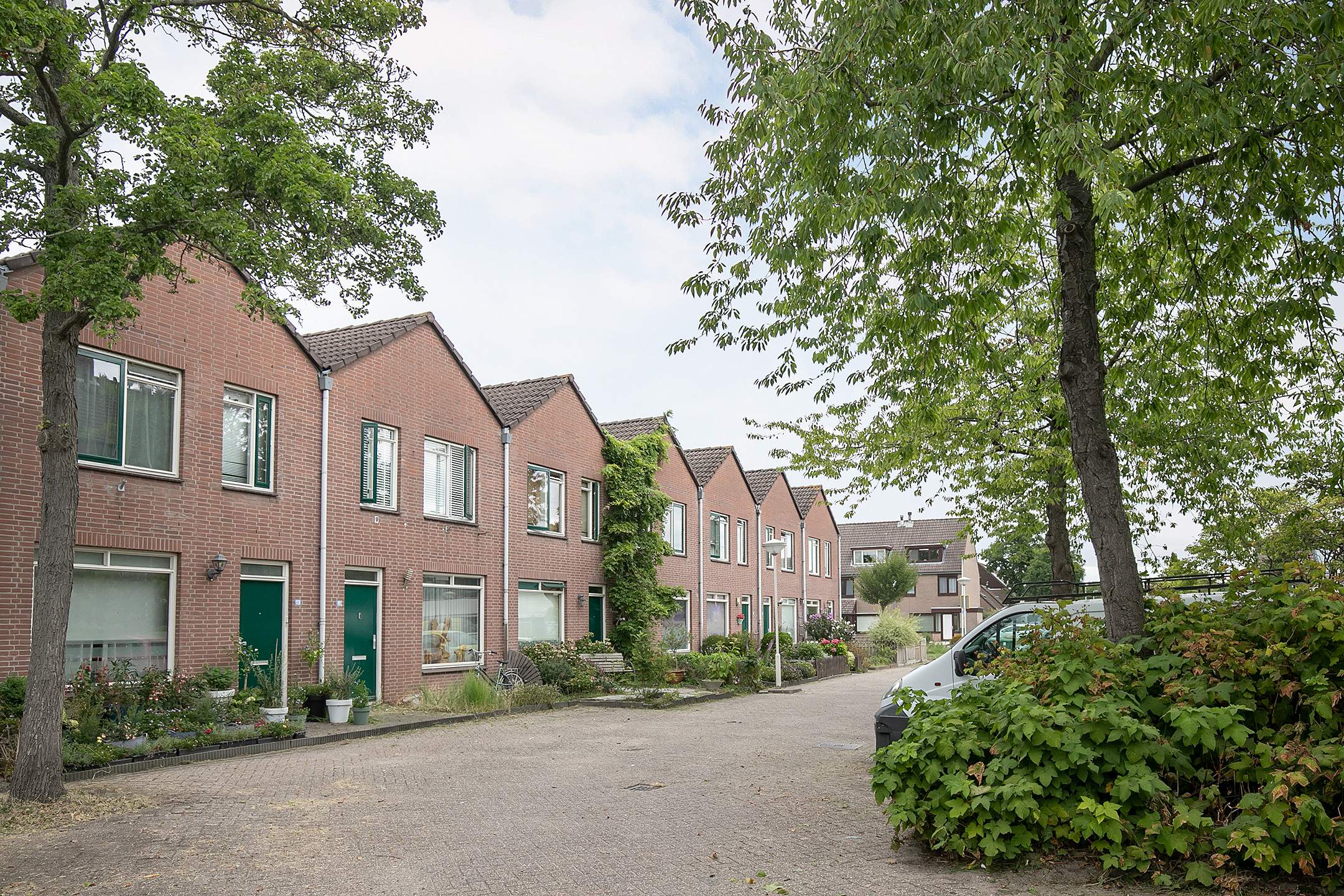 Afbeelding 1 van 1