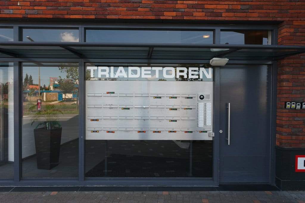 Afbeelding 3 van 12
