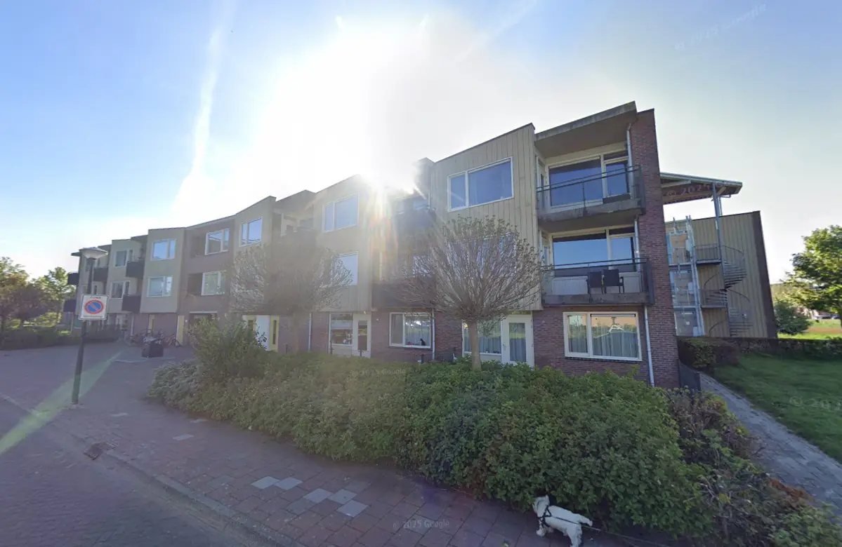 Afbeelding 1 van 1