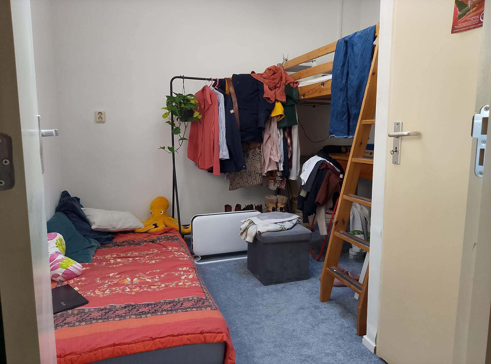 Image 2 of 7