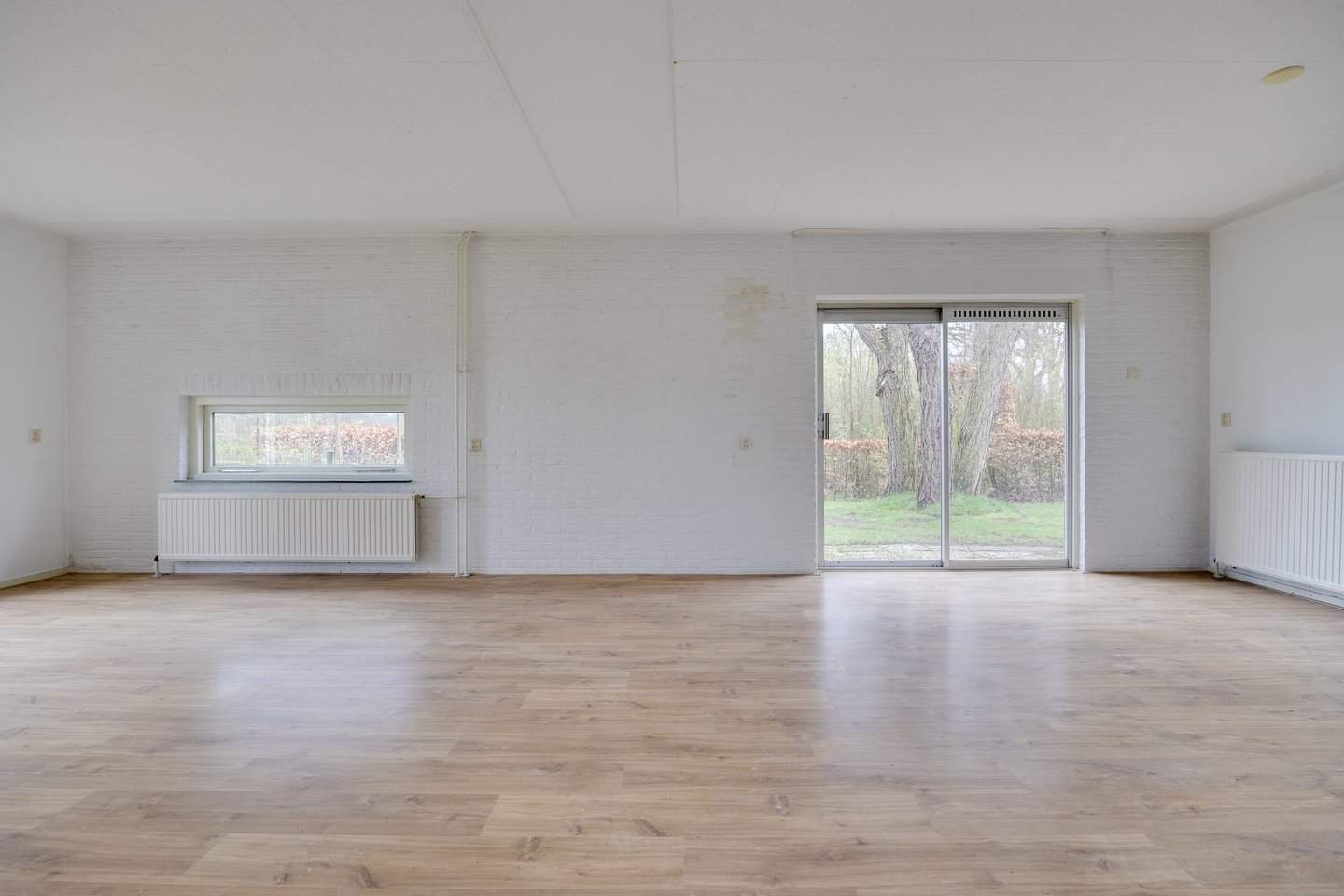 Bild 5 von 12