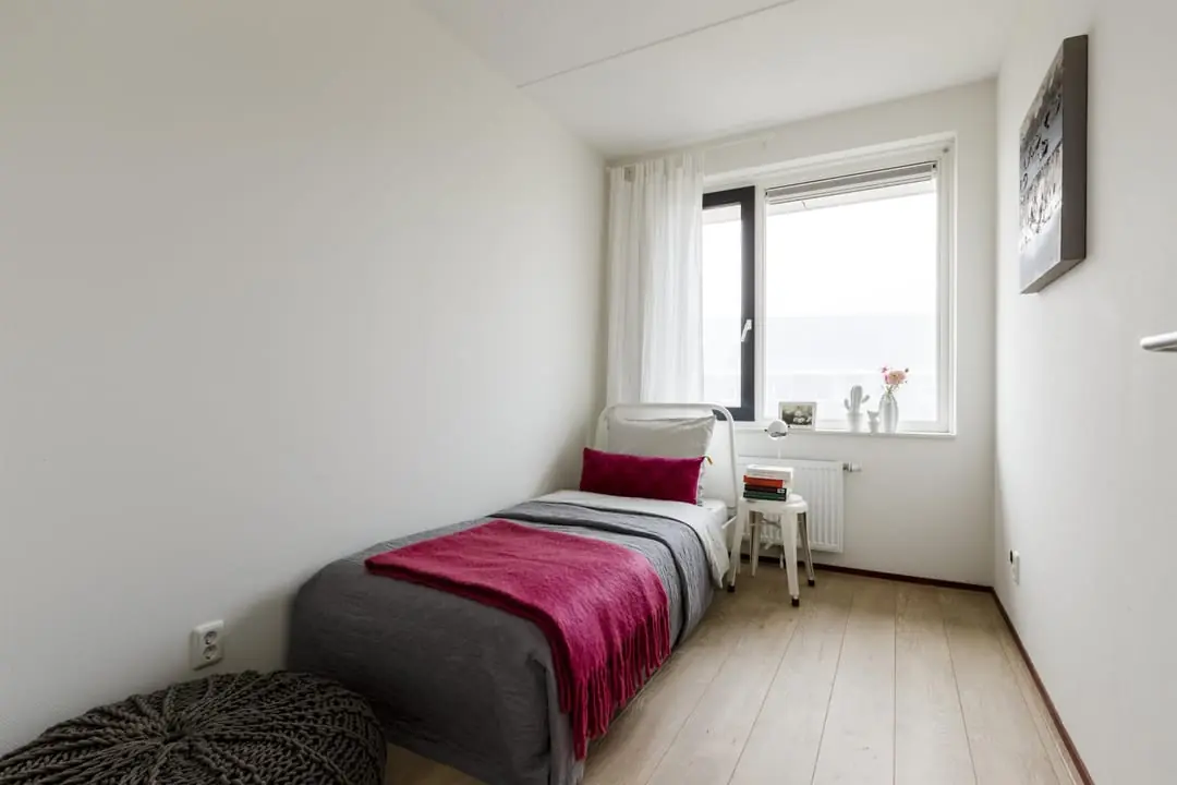 Bild 8 von 18