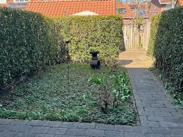 Image 8 of 8