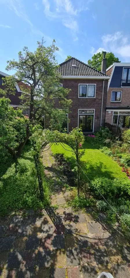 Afbeelding 9 van 9