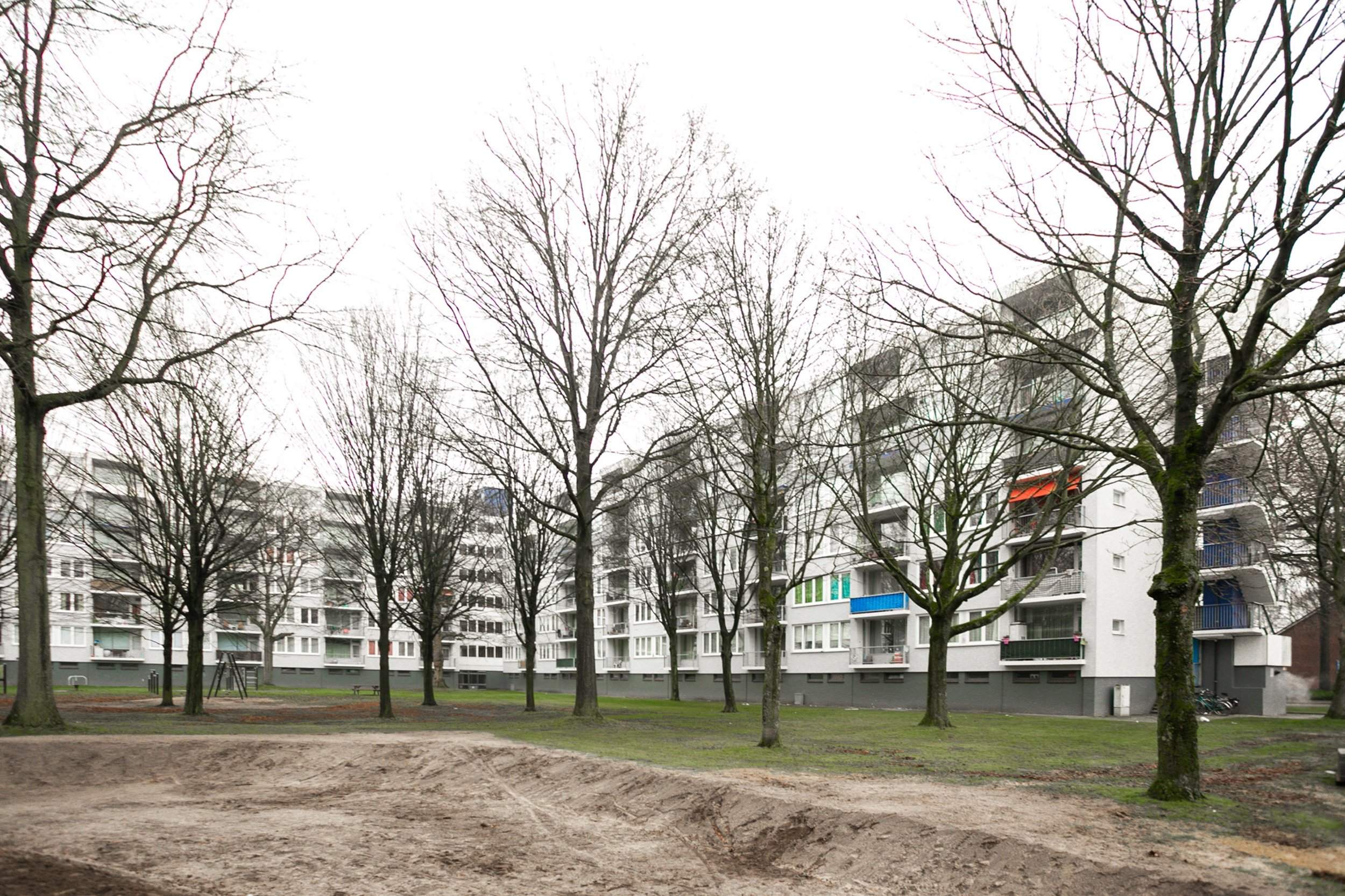 Bild 3 von 12