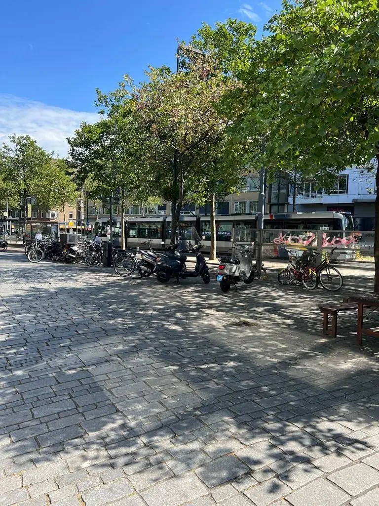 Image 25 of 29