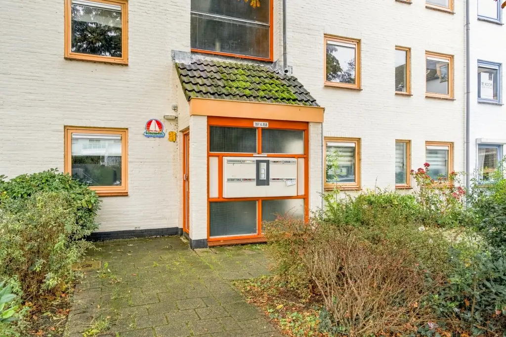 Image 16 of 23