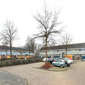 Afbeelding 6 van 6