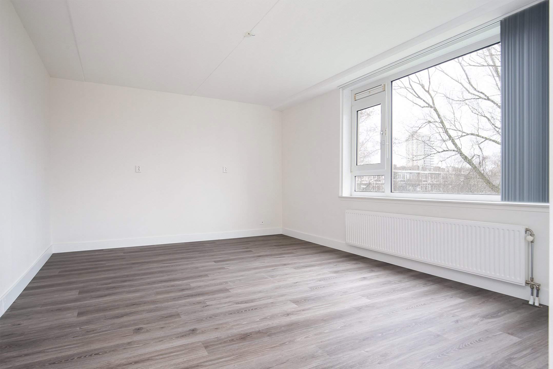 Bild 1 von 17