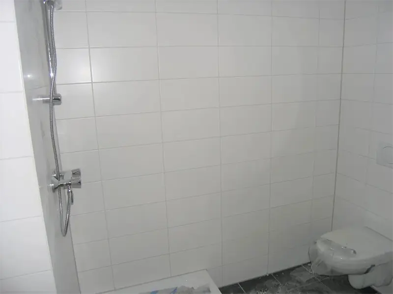 Imagen 2 de 10