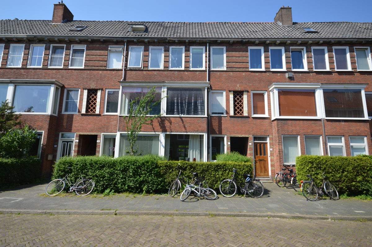 Afbeelding 1 van 8