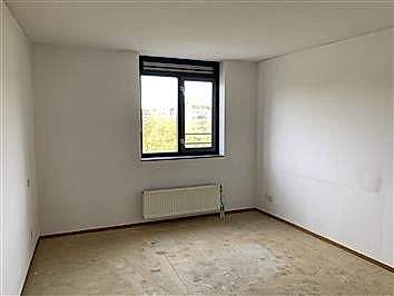 Bild 5 von 8