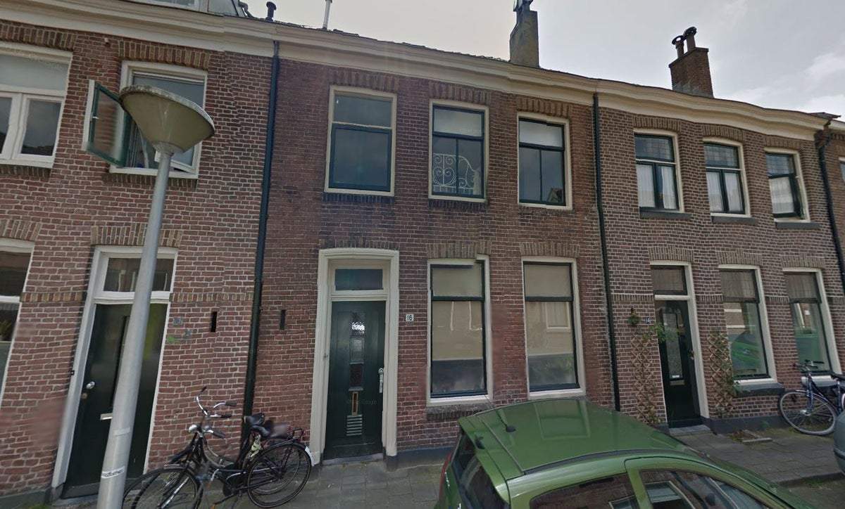 Afbeelding 1 van 10