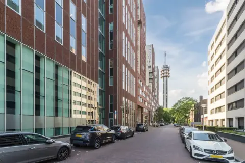 Appartement Carolina van Nassaustraat, La Haye - À Louer