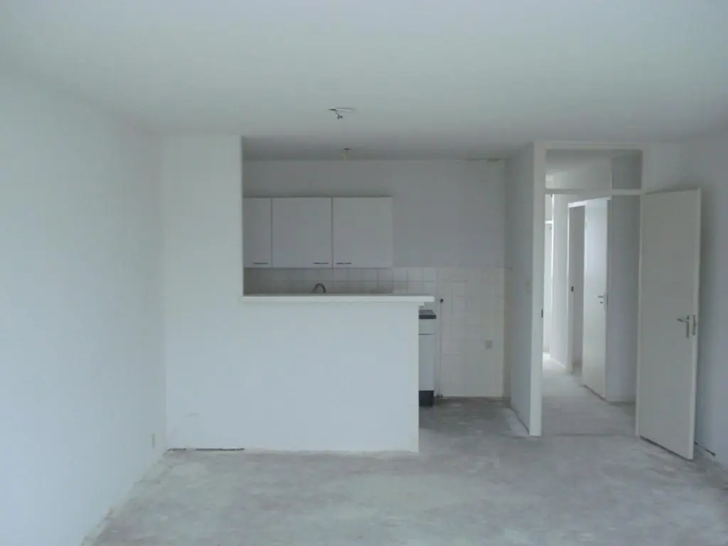 Image 3 of 8