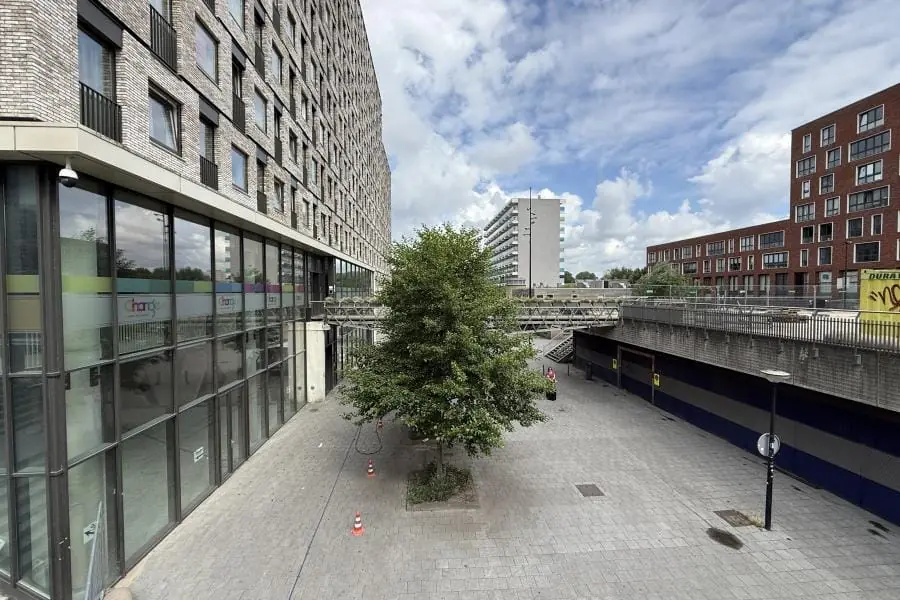 Image 11 of 20