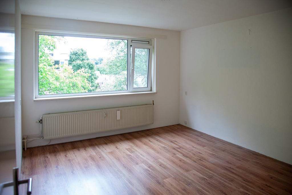 Bild 9 von 14