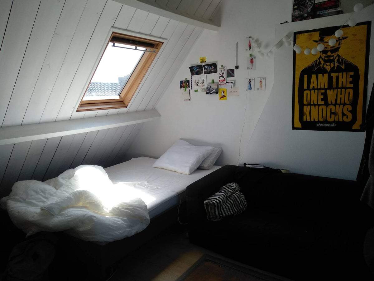 Bild 2 von 12