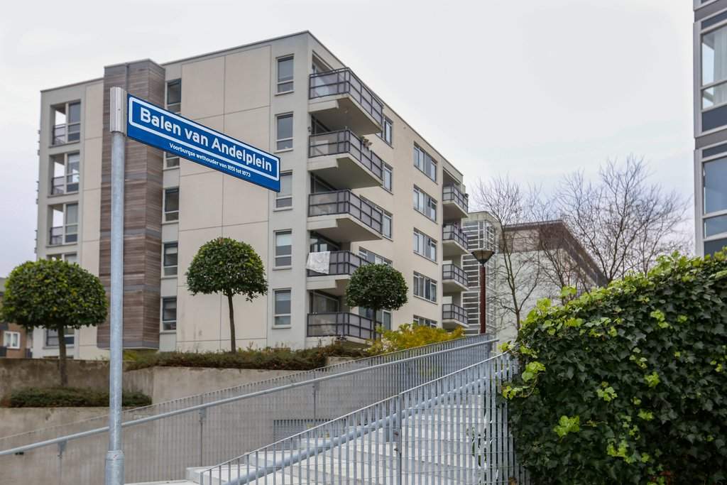 Image 1 sur 12