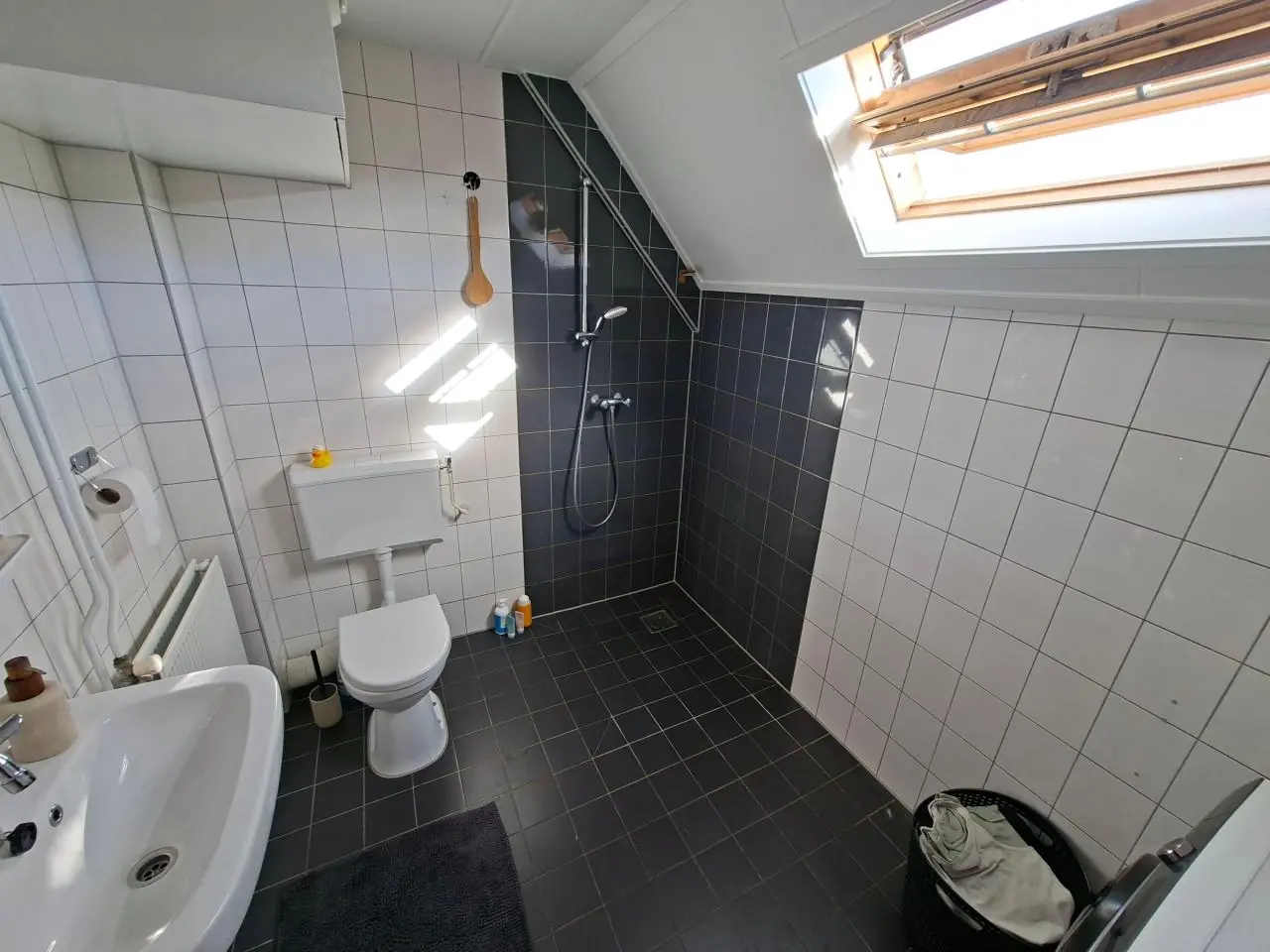 Image 5 of 12