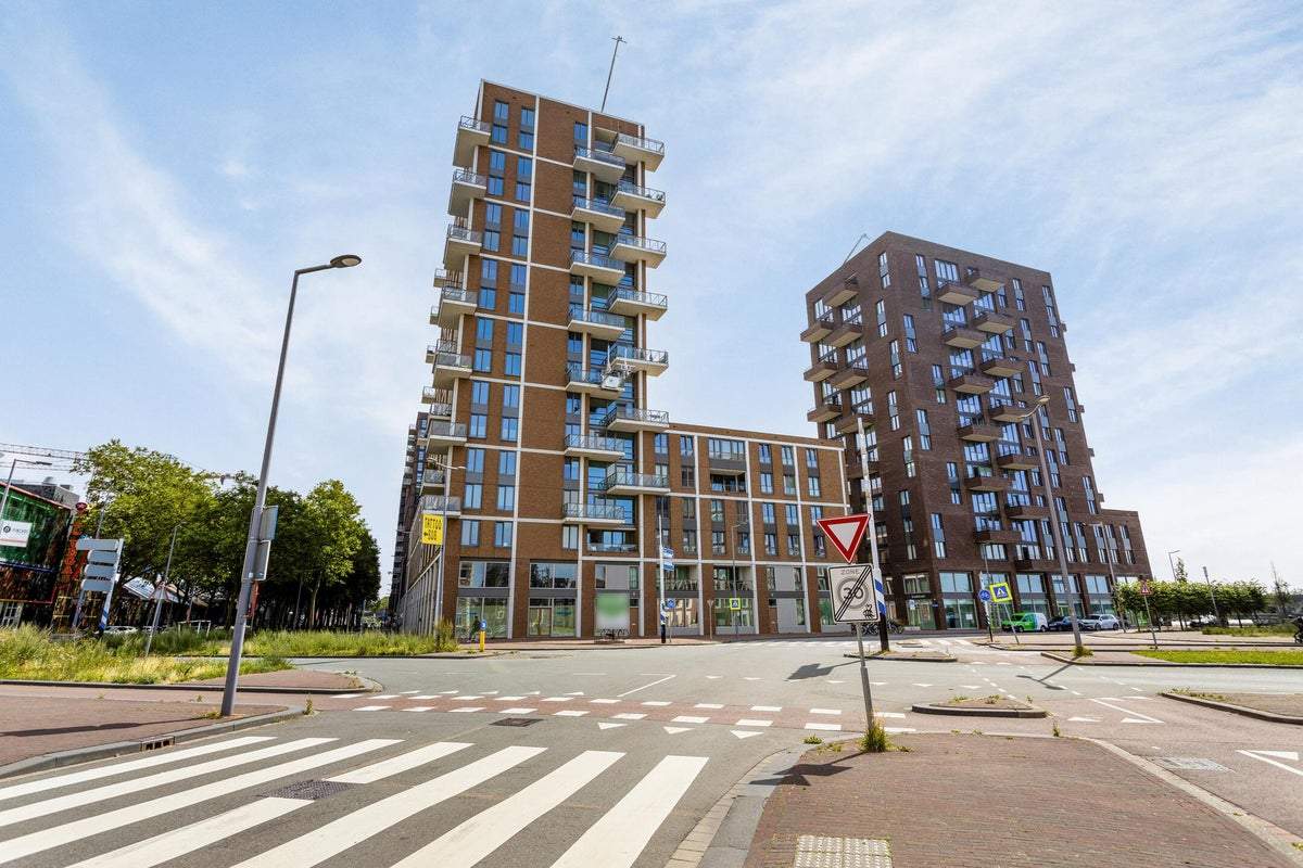 Afbeelding 2 van 24
