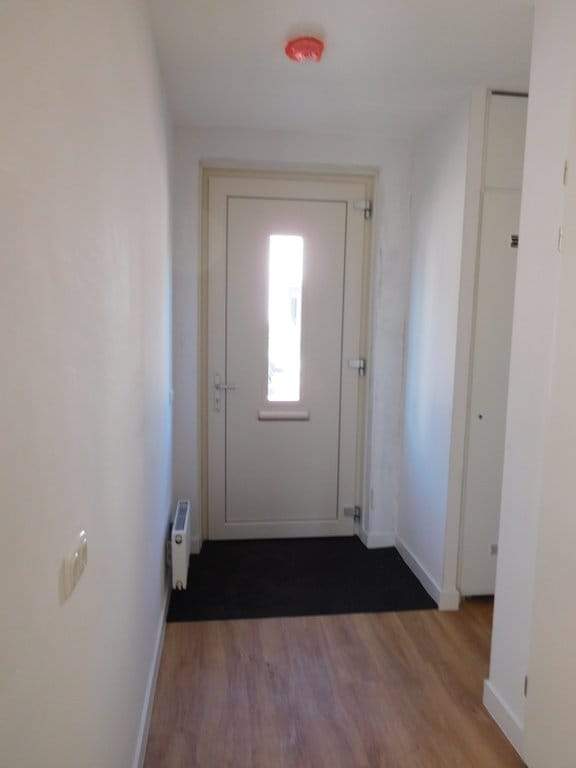 Image 7 of 16