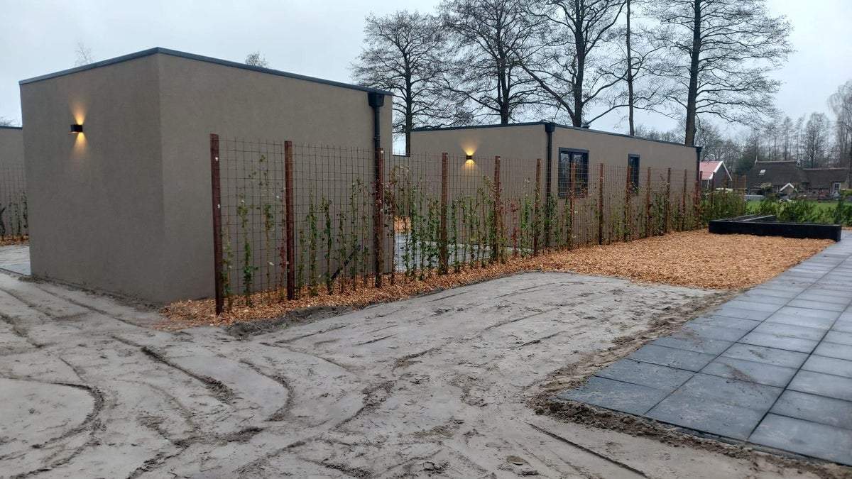 Bild 3 von 14