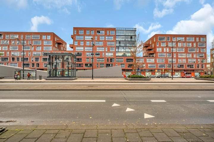 Afbeelding 1 van 24